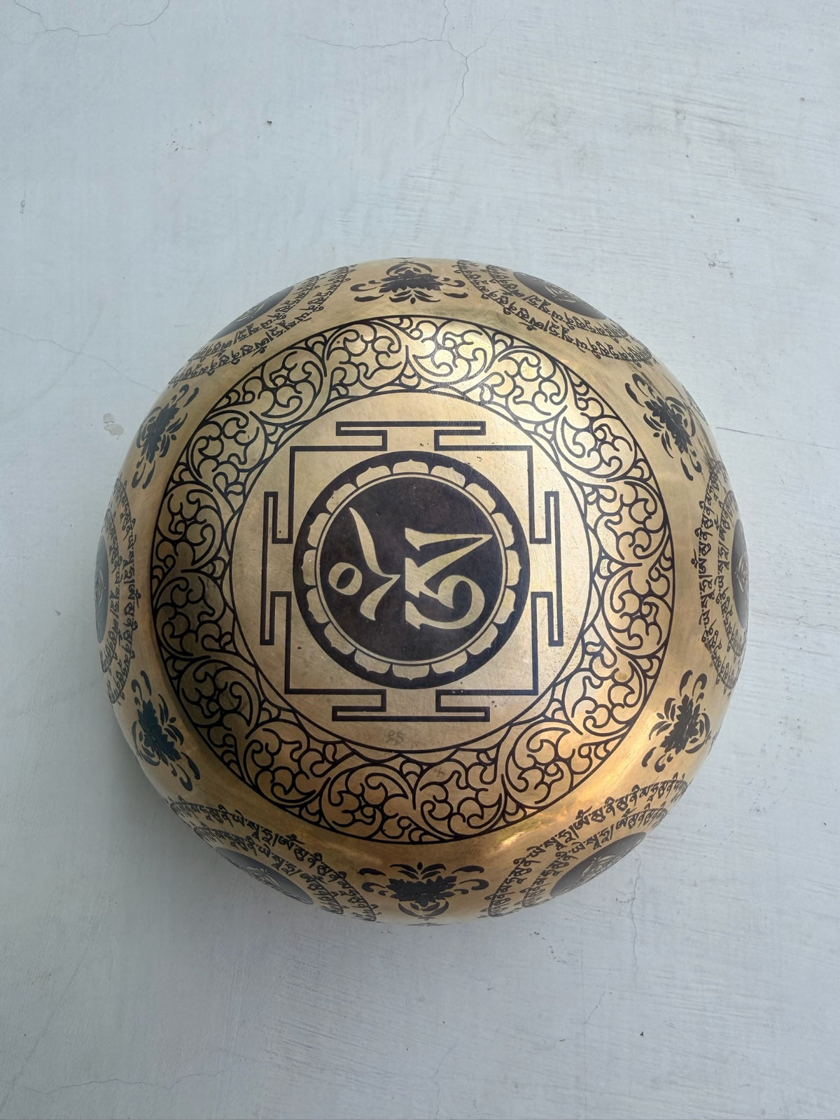 Blok Yoga Penyemangat Alo Yoga - Aqua Cerah/Perak