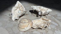 Mutiara Freshwater Pearl Turtle Bracelets